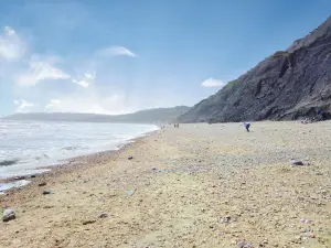 Charmouth Beach