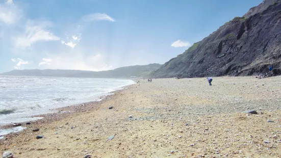 Charmouth Beach