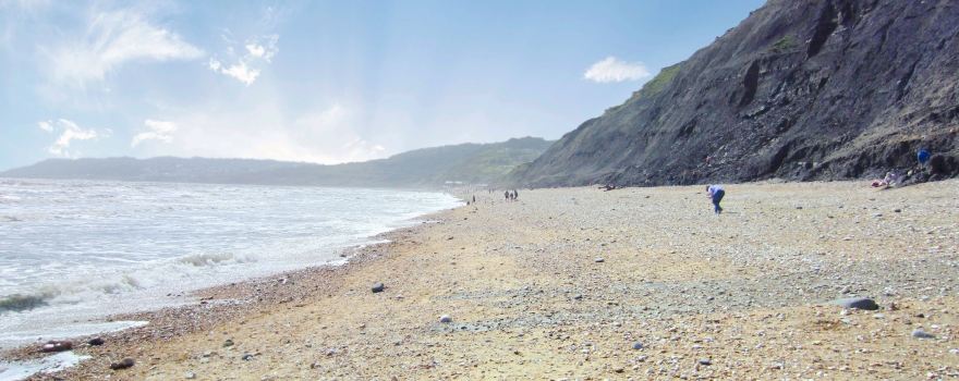 Charmouth Beach