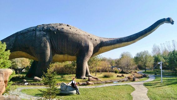 Shenzhou Dinosour Museum