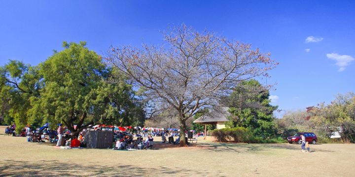 Pretoria National Botanical Gardens