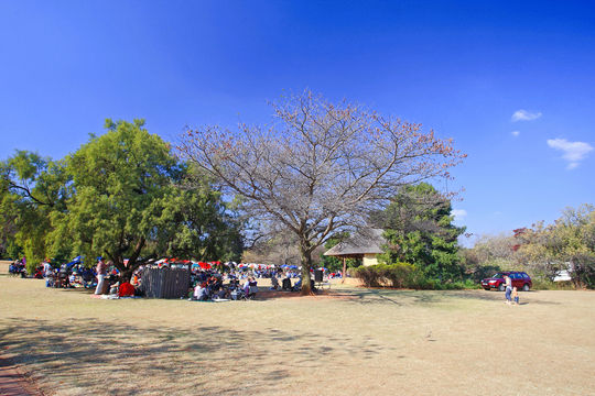 Pretoria National Botanical Garden African Hall