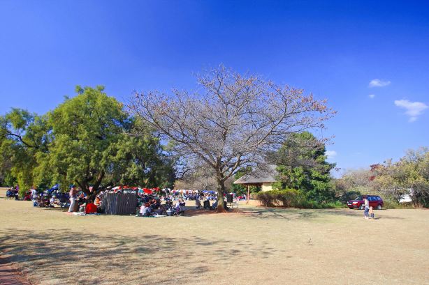 Pretoria National Botanical Gardens