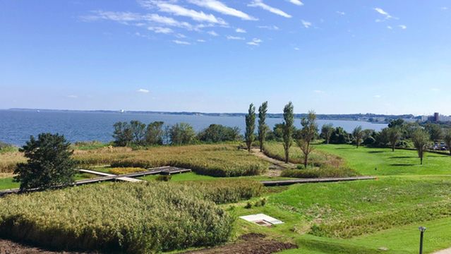 Tsuchiura City Kasumigaura Comprehensive Park