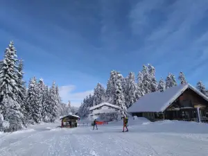 Centre Nordique