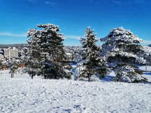 Zlatibor