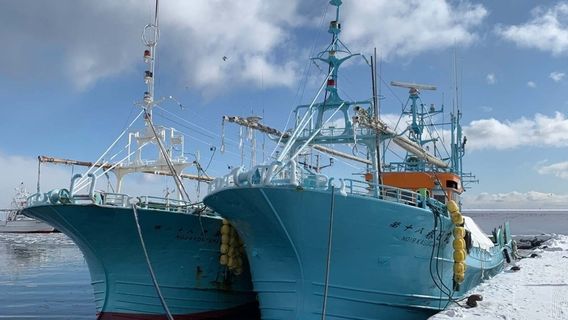 Shiretoko Nature Cruise