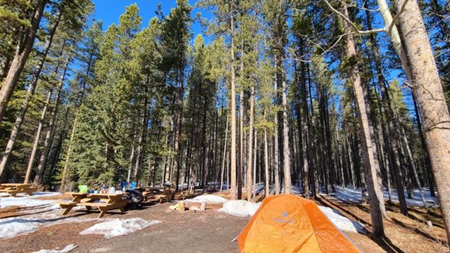 McLean Creek Campground