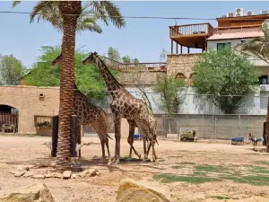 Attrazioni per Famiglie​ a Riad: le opzioni più popolari