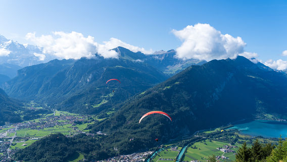 Paragliding in Interlaken