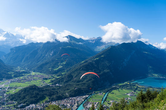 Volo con parapendio a Interlaken