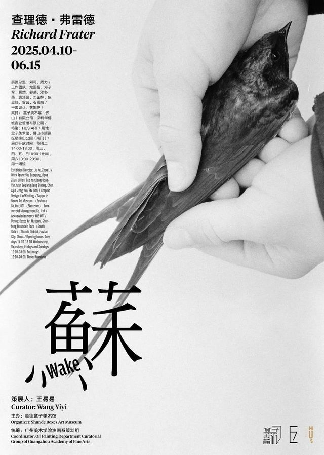 《蘇Wake》查理德·弗雷德個展 | 華僑城盒子美術館