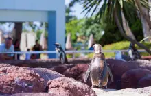 SeaWorld San Diego