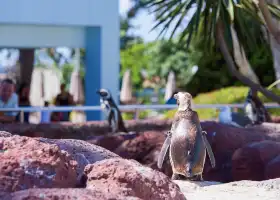 聖地牙哥海洋世界