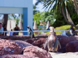 SeaWorld 샌디에고