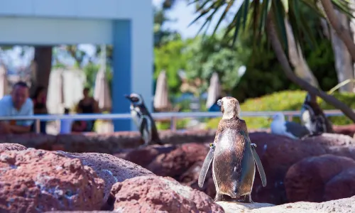 SeaWorld San Diego
