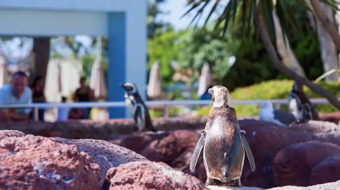1_SeaWorld San Diego