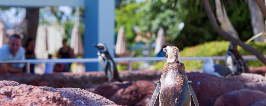 SeaWorld 샌디에고