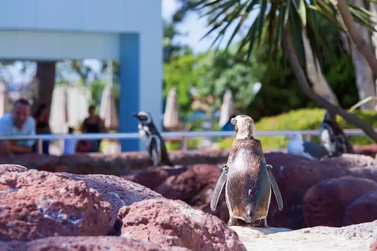 Hotels near SeaWorld San Diego