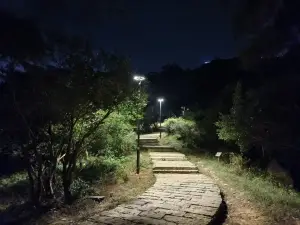 푸칭의 인기 야경 필수 코스