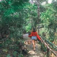 Chocolate Hills in Bohol Ph