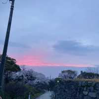 【福岡の観光名所】市民の憩いの場大濠公園