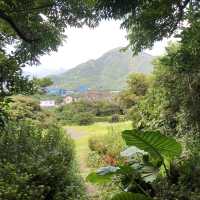 屋久島〜宮之浦港