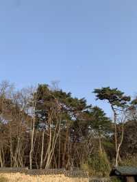 불국사, 경주
