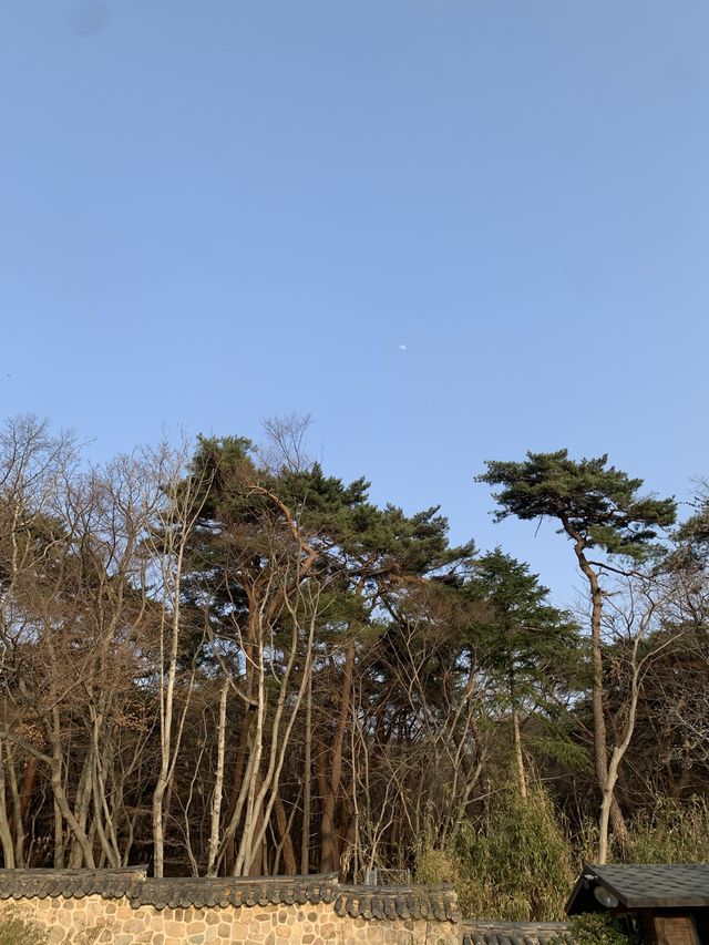 불국사, 경주