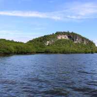 Lamanok Island Mystic Tour Experience