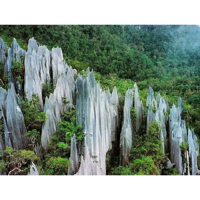 Gunung Mulu National Park