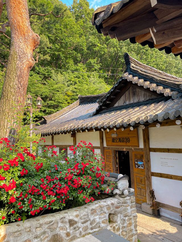 경기 광주 드라이브, 카페새오개길39