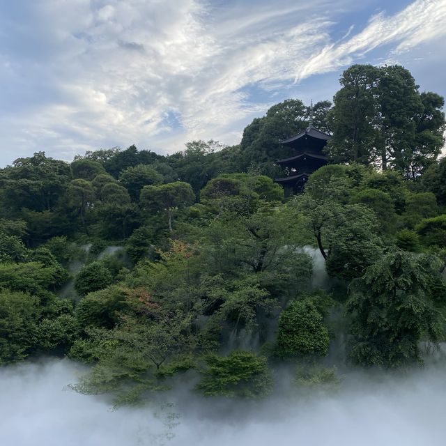 東京で蛍観れる場所