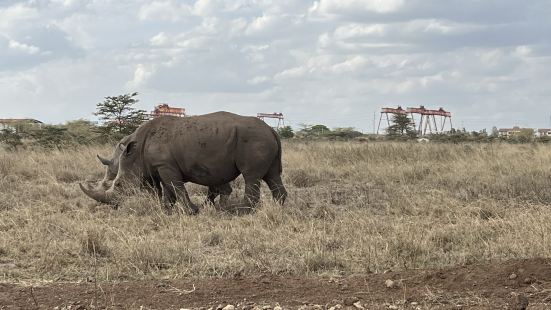 Nairobi National Park is a gre