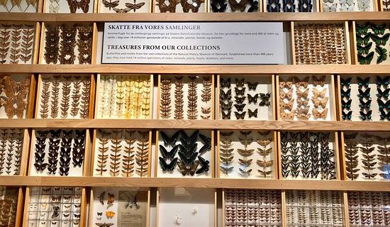 Geological Survey Museum