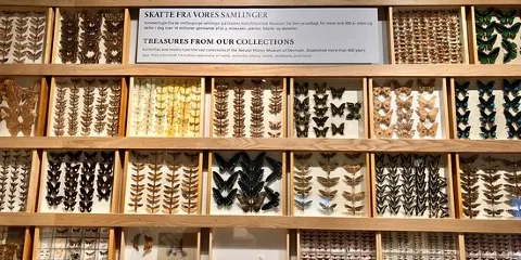 Geological Survey Museum