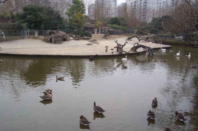 훙메이공원