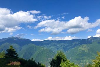 悦榕庄大堂吧 User Photo