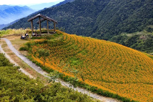 【台東輕旅行】IG超夯景點網紅拍照地，刷爆朋友圈的TOP10