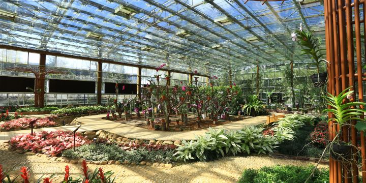 Xinglong Tropical Botanical Garden