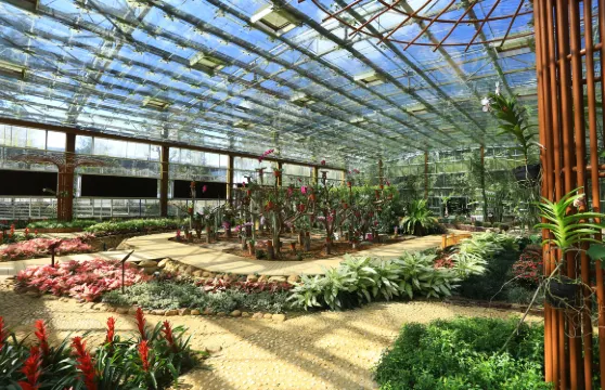 興隆熱帶植物園門票成人