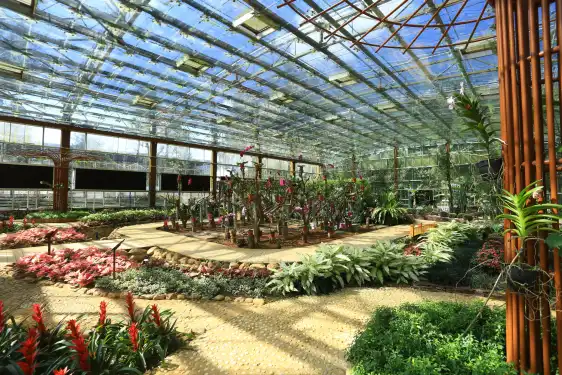 興隆熱帯植物園周辺のホテル