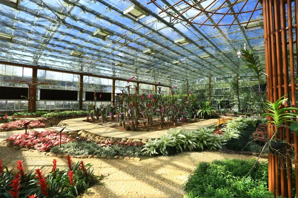 2_Xinglong Tropical Botanical Garden
