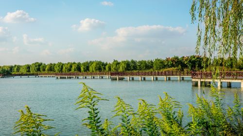 南湖濕地公園