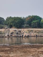 ウダワラウェ国立公園