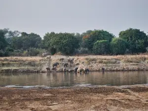 Parque nacional Udawalawe