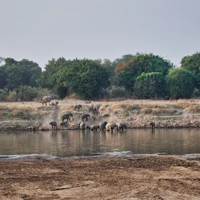 Wadula Safari Yala