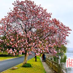 杭州西湖国宾馆·西湖第一名园·宽馀茶庄 User Photo