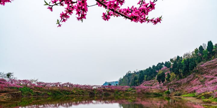Longquan Lake