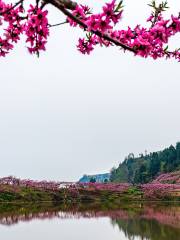 Longquan Lake